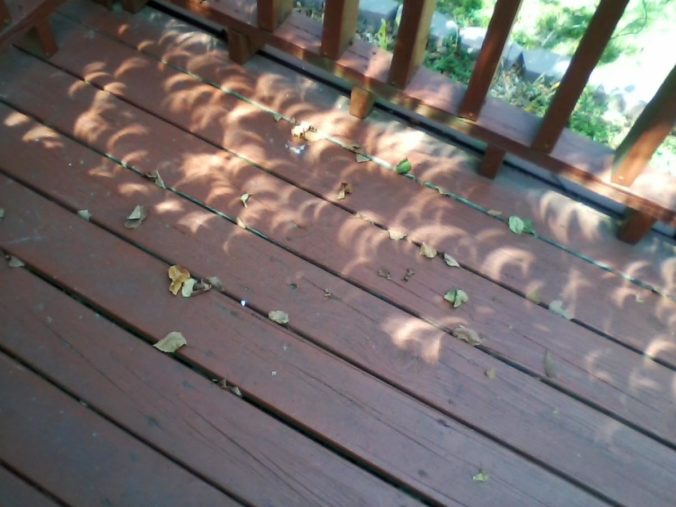 2017 solar eclipse crescents through the leaves - Ron Woods
